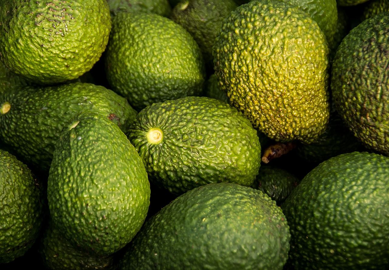 avocados, harvest, fruit-882635.jpg